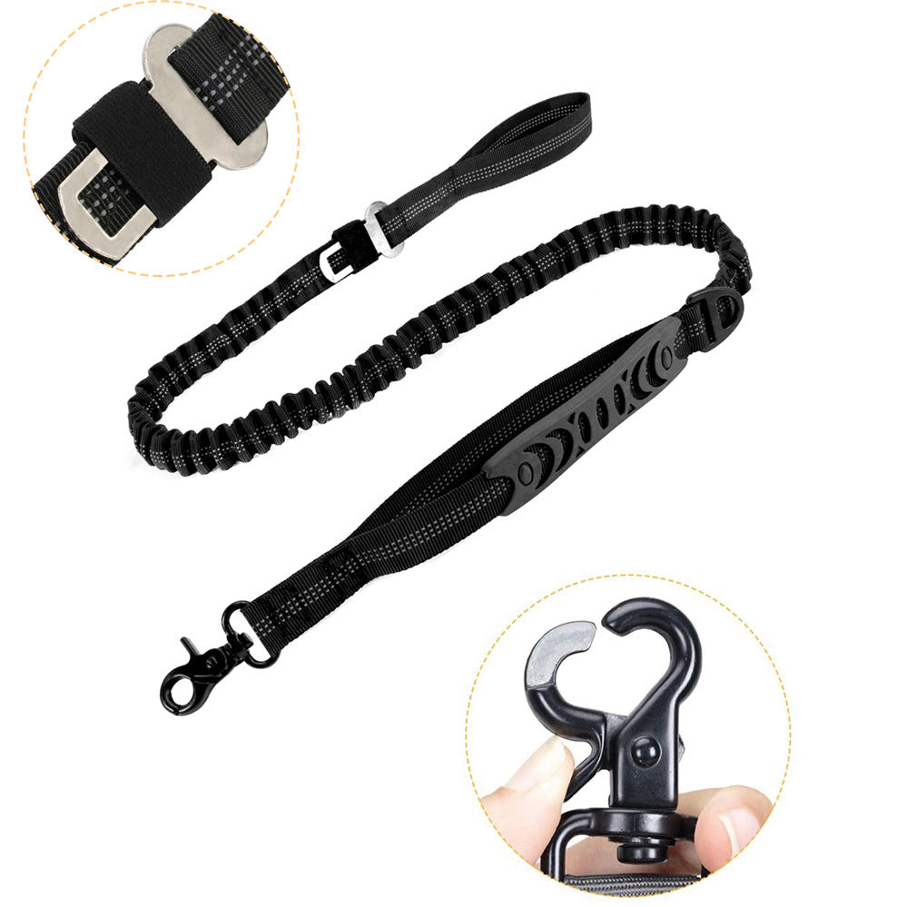 Dog Leash