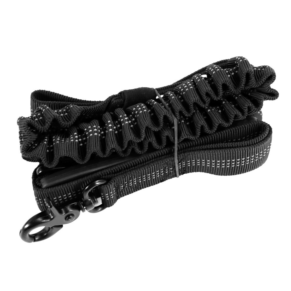 Dog Leash
