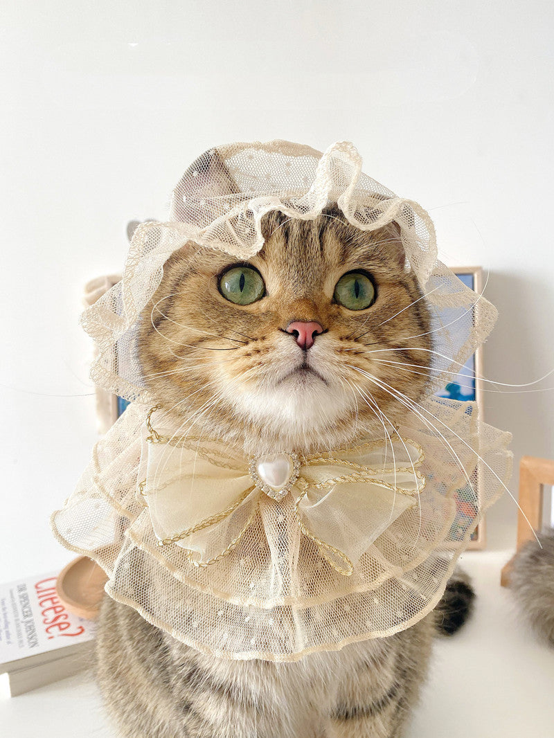 Netizens Pets Hats