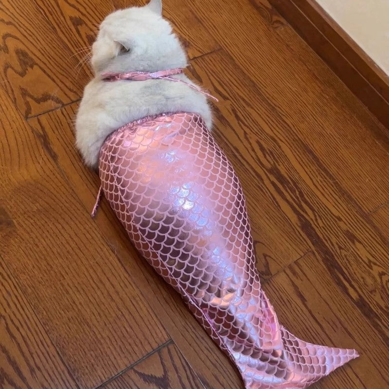 Mermaid Tail Decoration