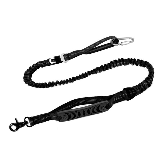 Dog Leash