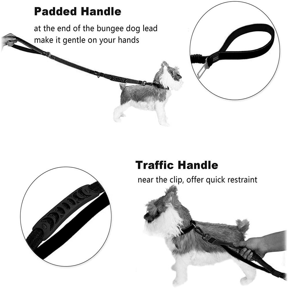 Dog Leash