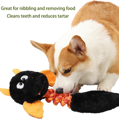 Plush Dog Toys