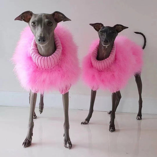 Pet Clothes