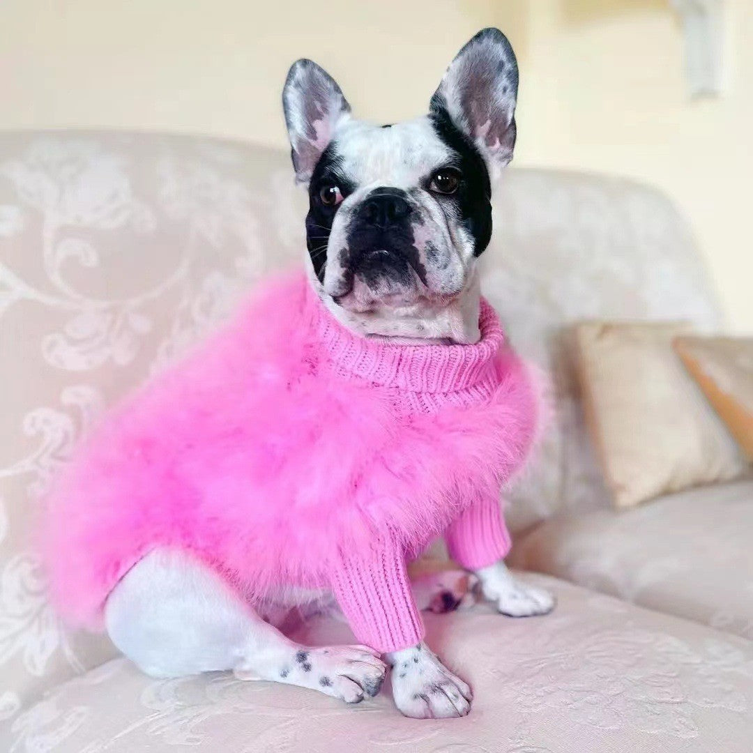 Pet Clothes