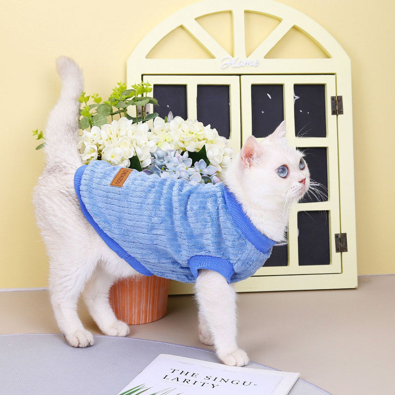 New Autumn And Winter Clothes For Pet