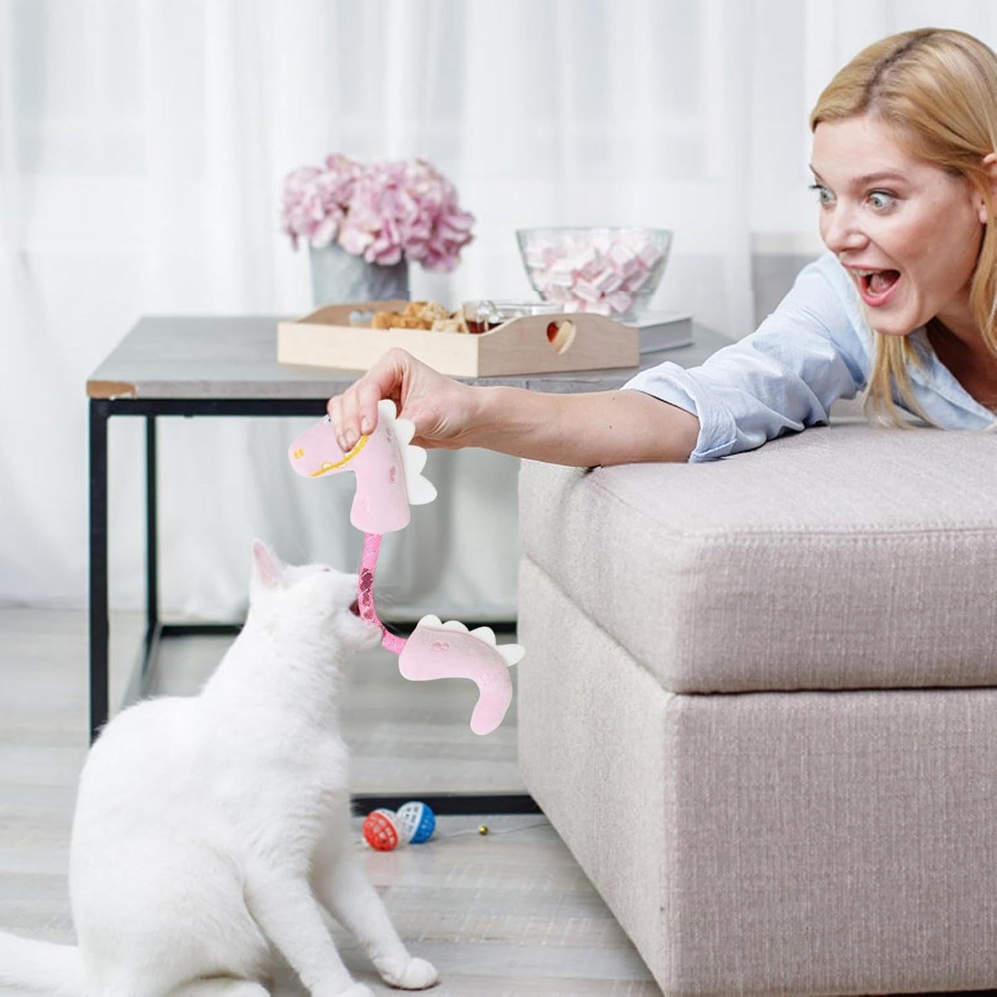 Cat Toys
