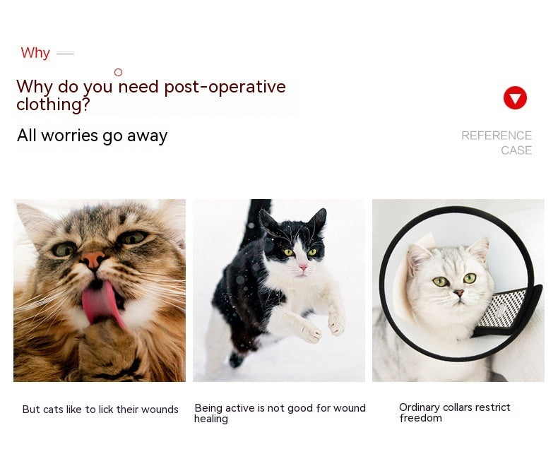 Cats Wears