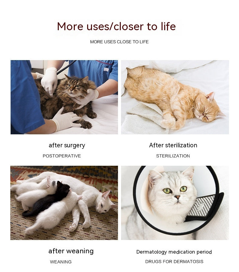 Cats Wears