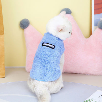 Pet Cats Fall And Winter
