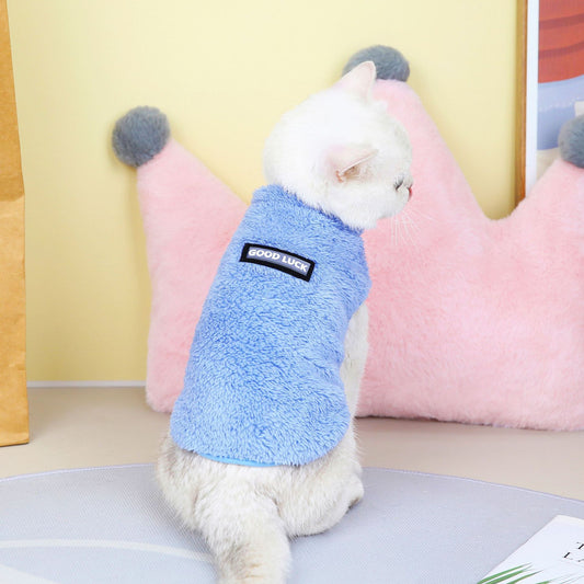 Pet Cats Fall And Winter