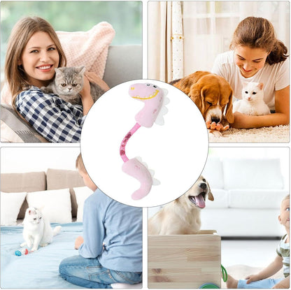 Cat Toys