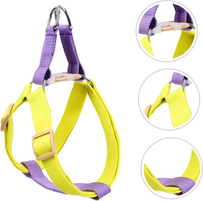 Dog Harness And Leash