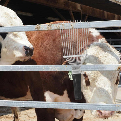 Dematting Brush Rake Comb