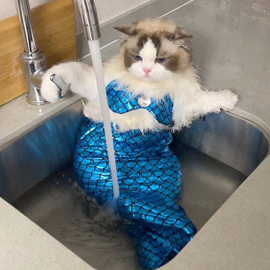 Mermaid Tail Decoration