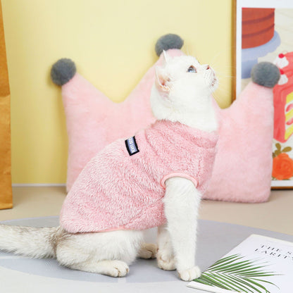 Pet Cats Fall And Winter