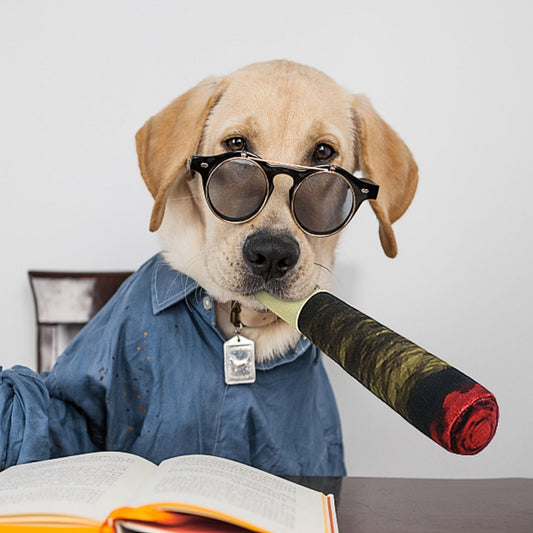 Pet Dog Toys