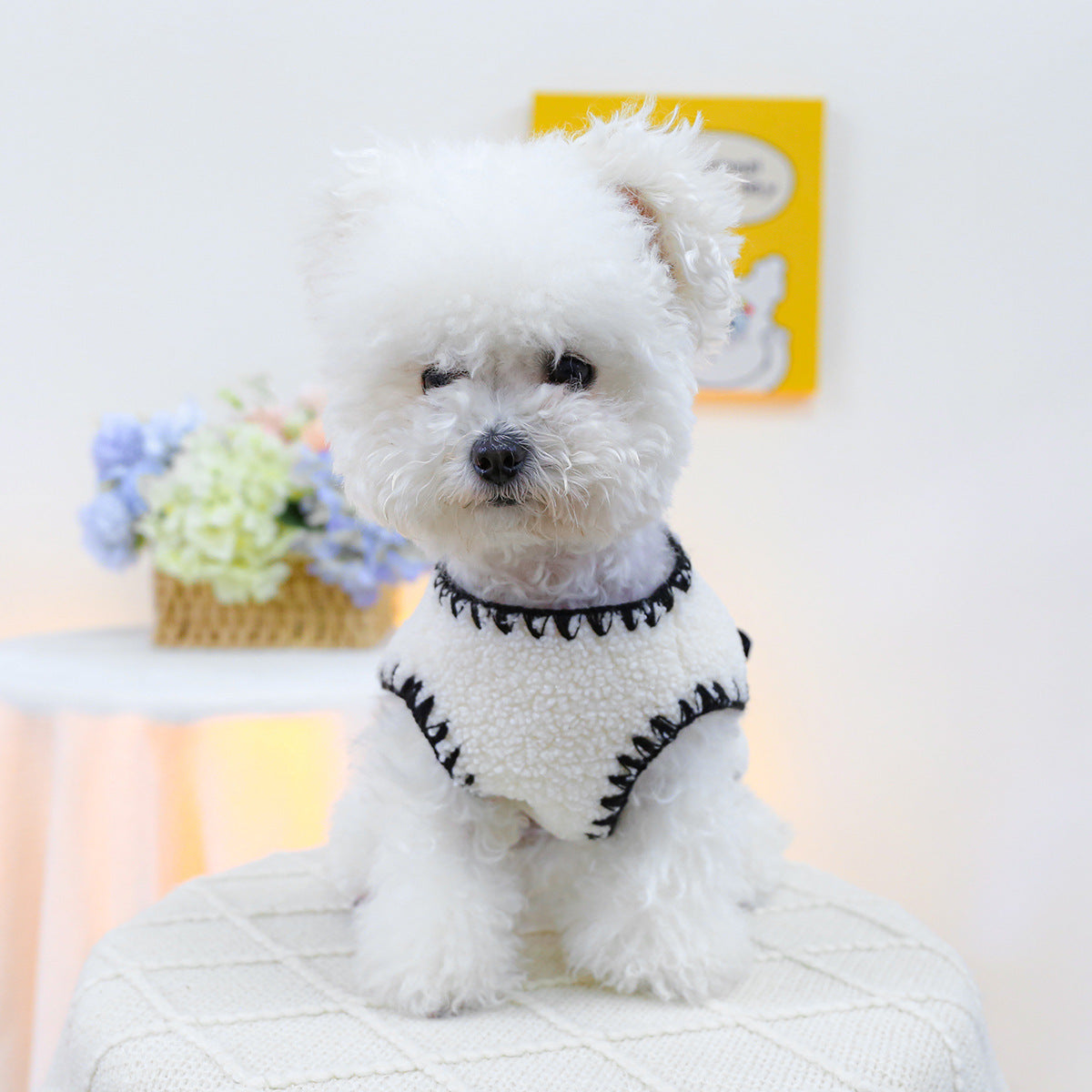Pet Clothes  Vest
