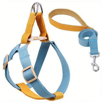 Dog Harness And Leash