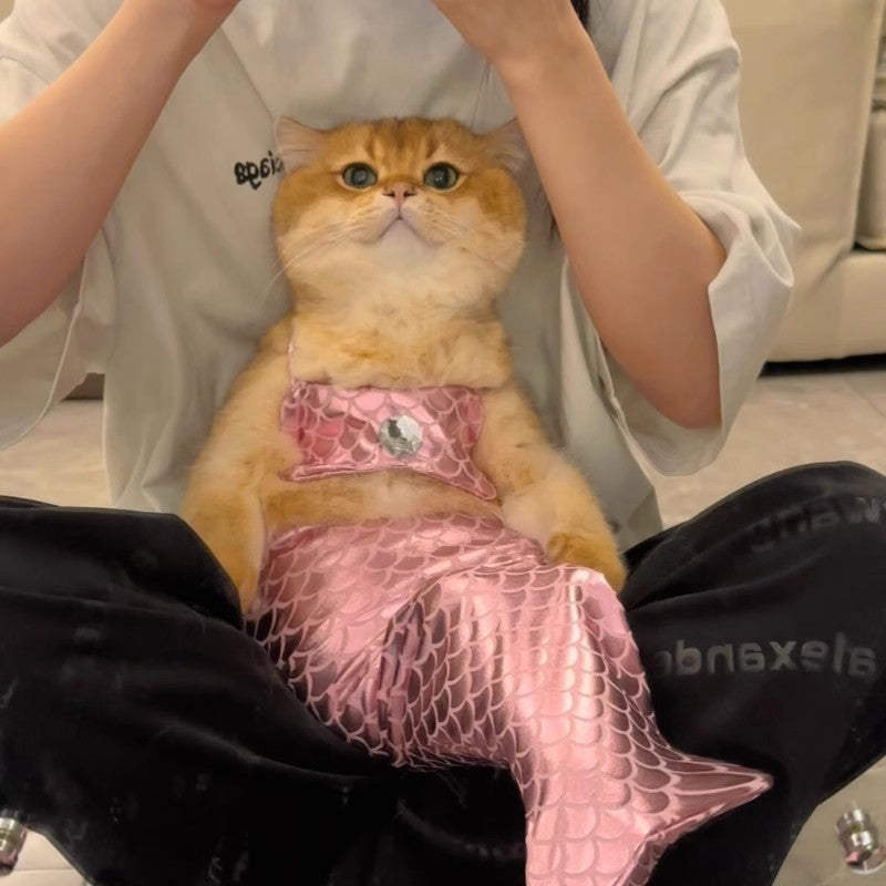 Mermaid Tail Decoration