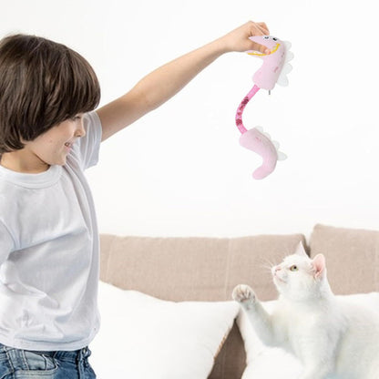 Cat Toys