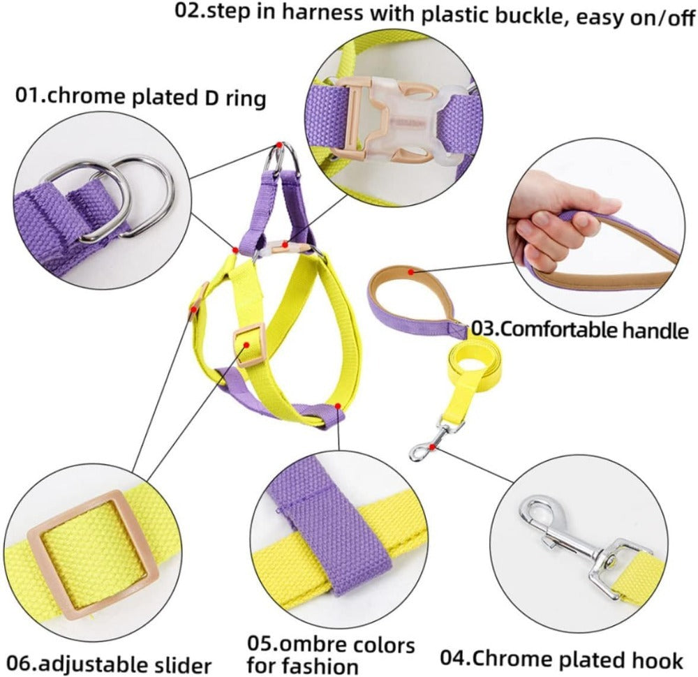 Dog Harness And Leash