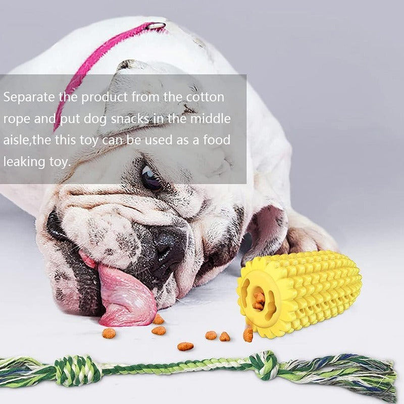 Dog Toys suitable for Chewing