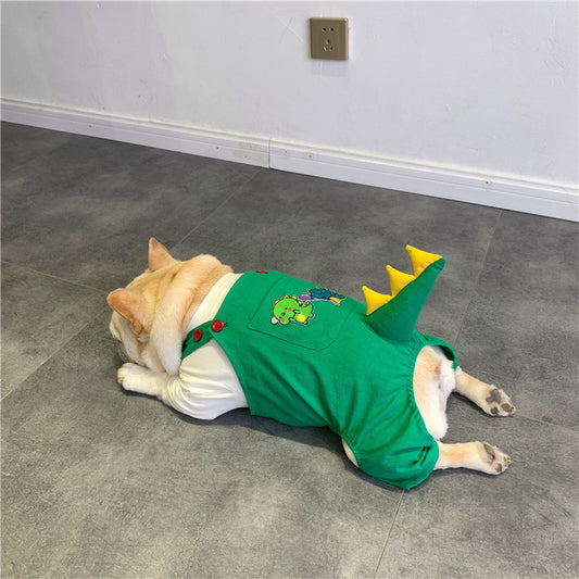 Pet Dog  Dinosaur Clothes