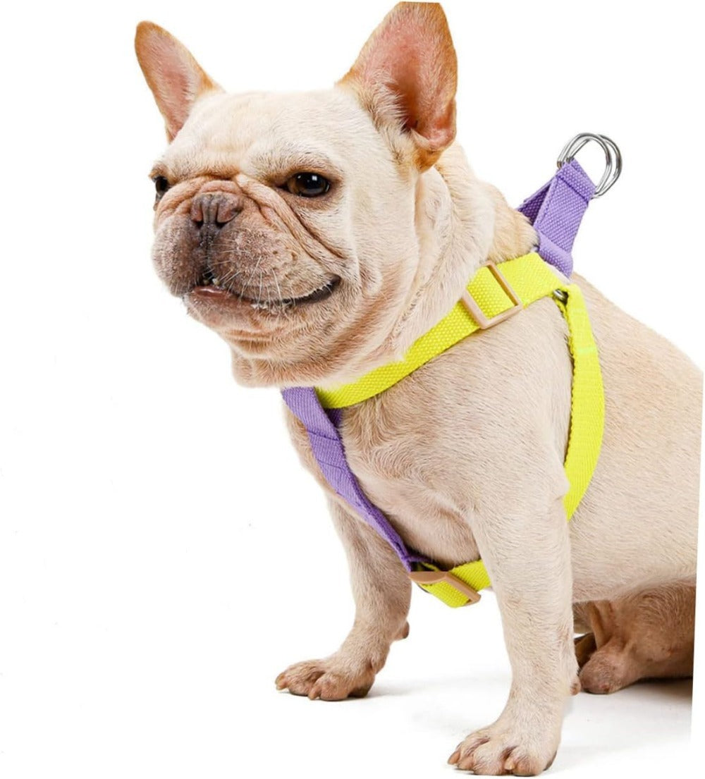 Dog Harness And Leash