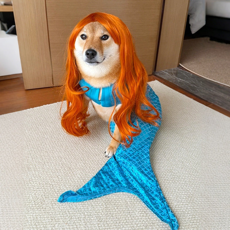 Mermaid Tail Decoration