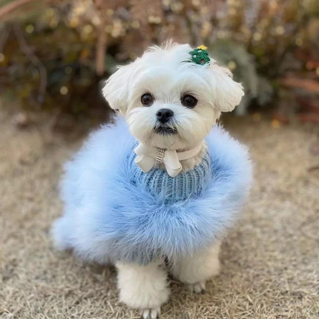 Pet Clothes