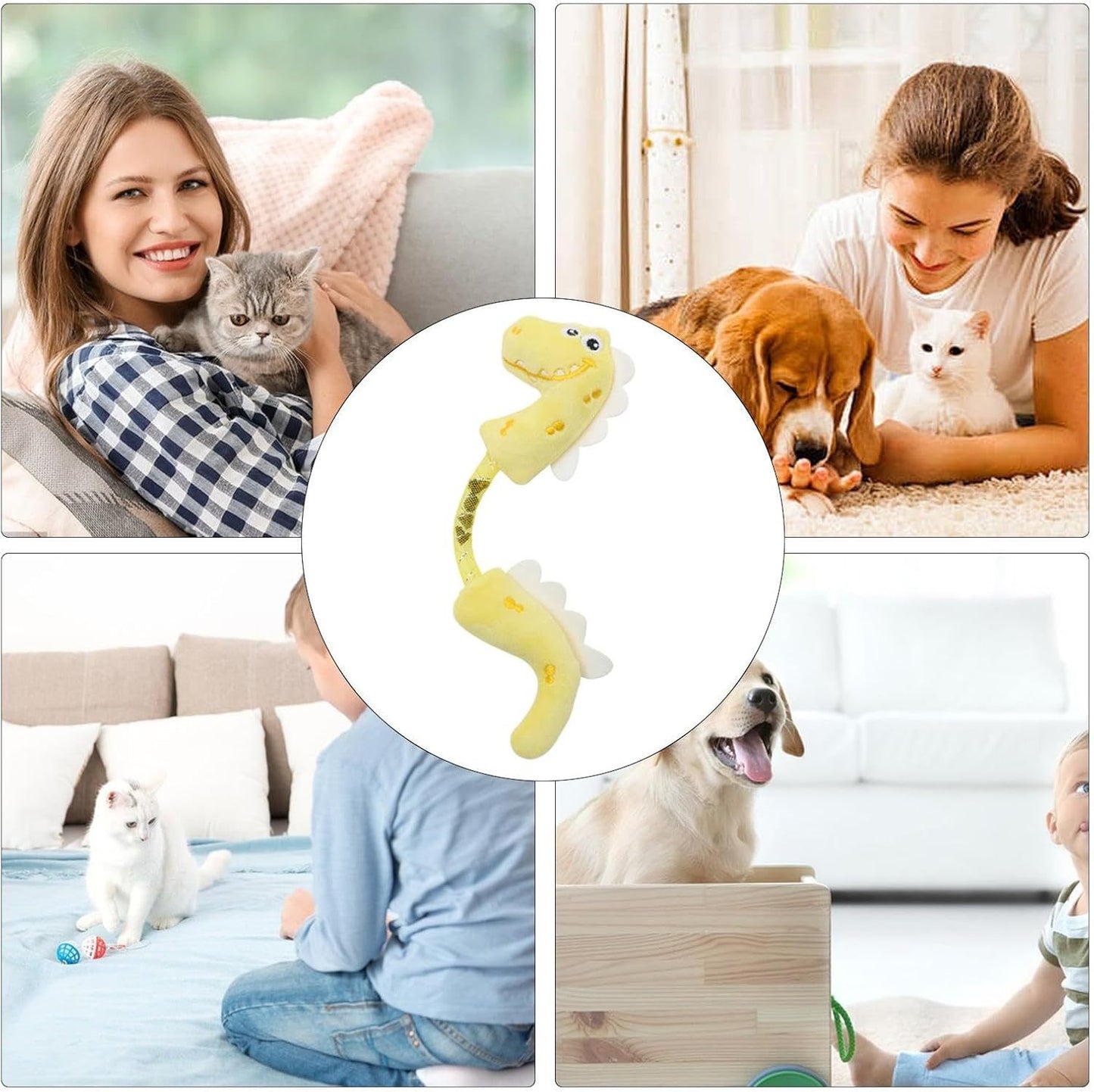 Cat Toys