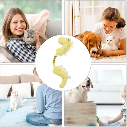 Cat Toys