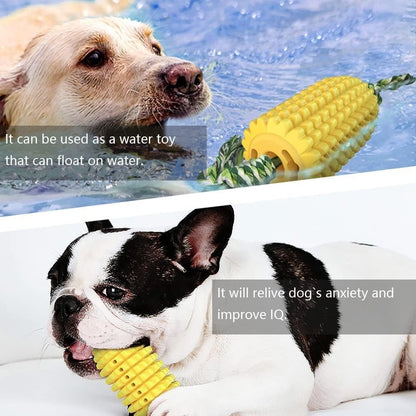 Dog Toys suitable for Chewing