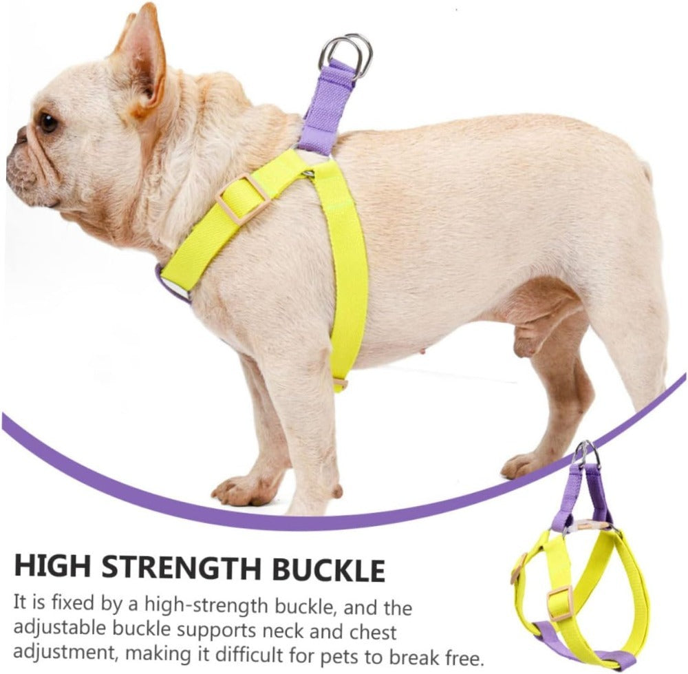 Dog Harness And Leash