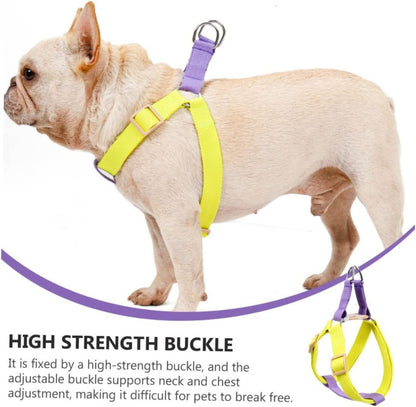 Dog Harness And Leash