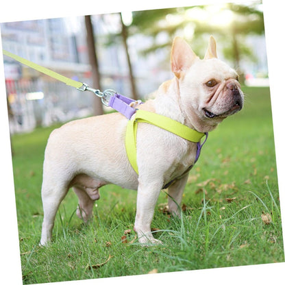 Dog Harness And Leash