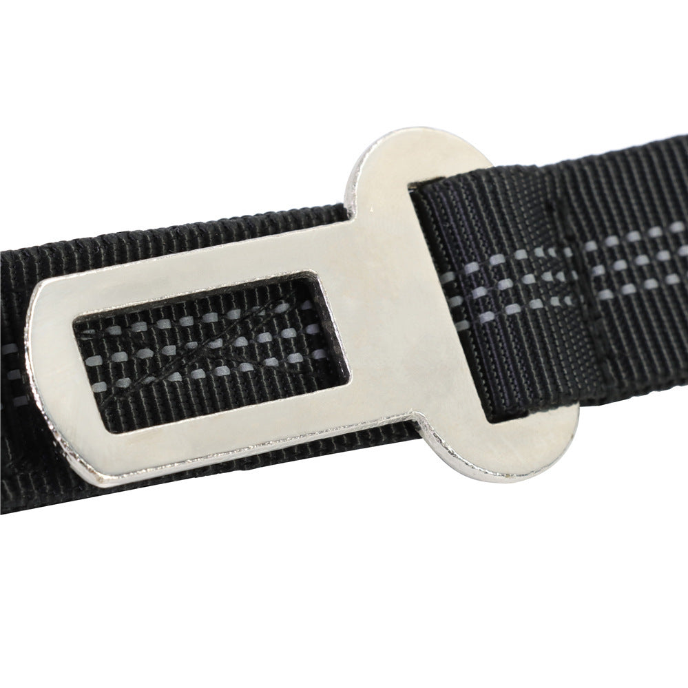 Dog Leash