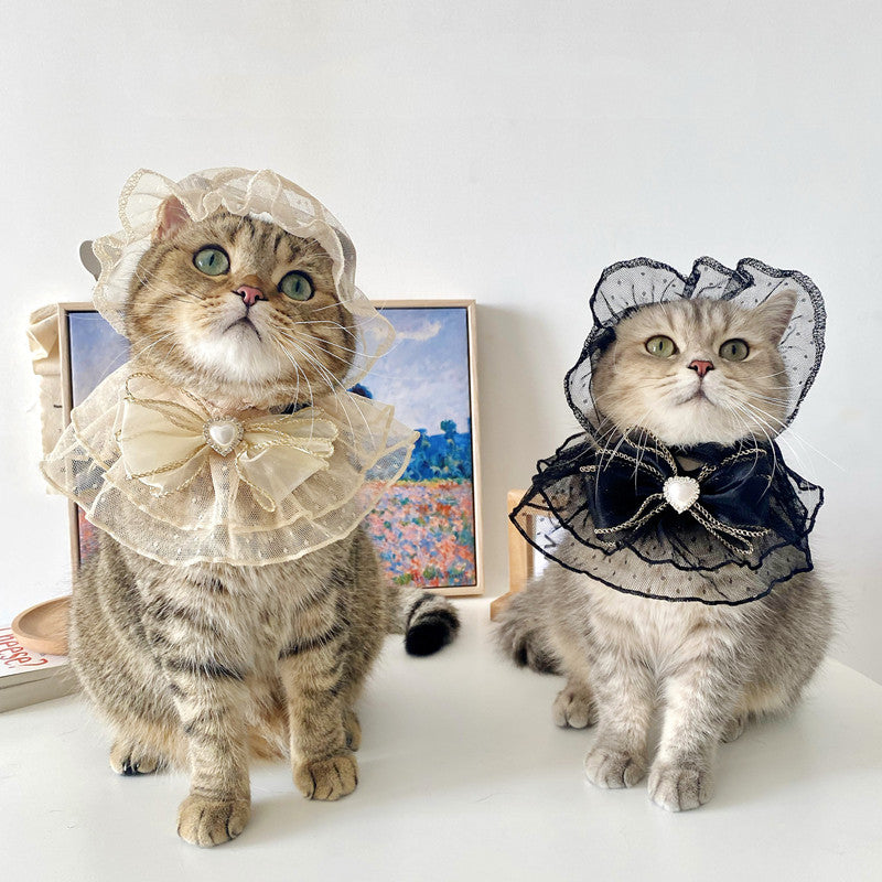 Netizens Pets Hats