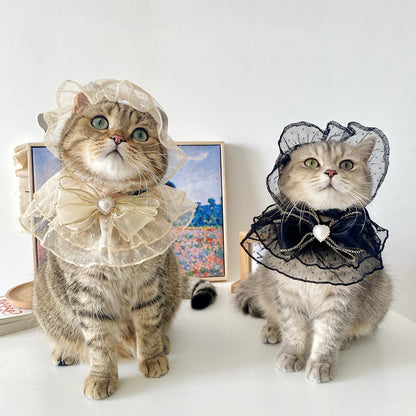Netizens Pets Hats