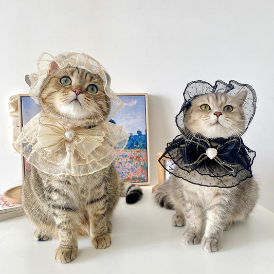 Netizens Pets Hats