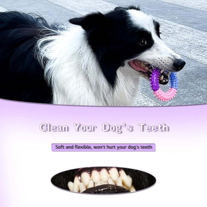 Pet Toy