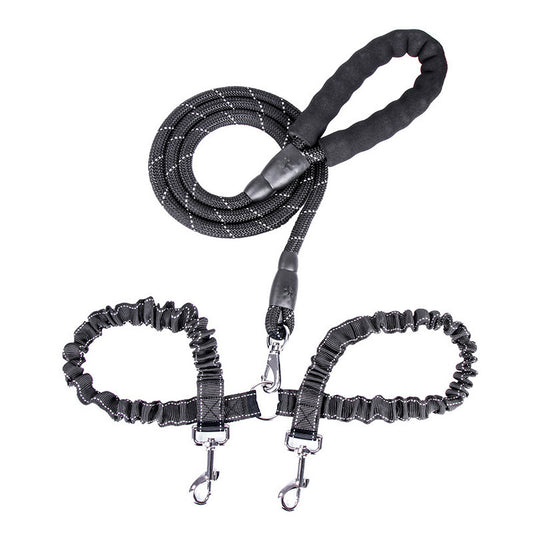 Two Leashes Pets