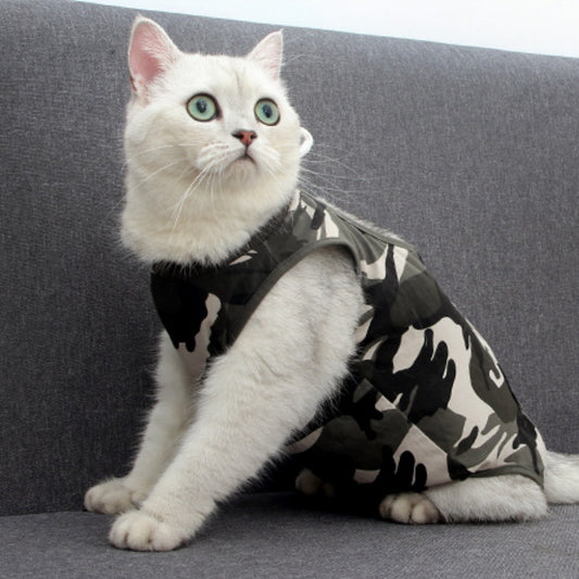 Cats Wears