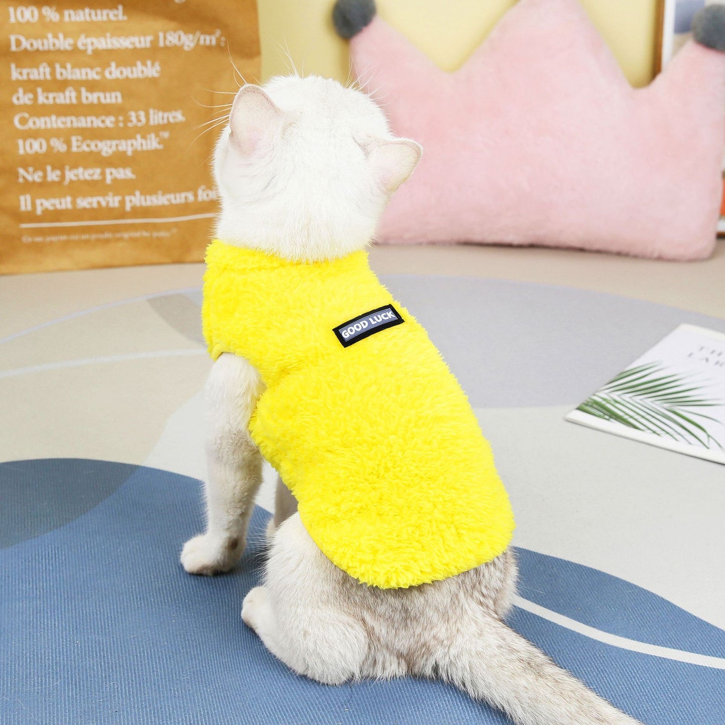 Pet Cats Fall And Winter