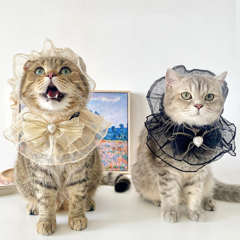 Netizens Pets Hats
