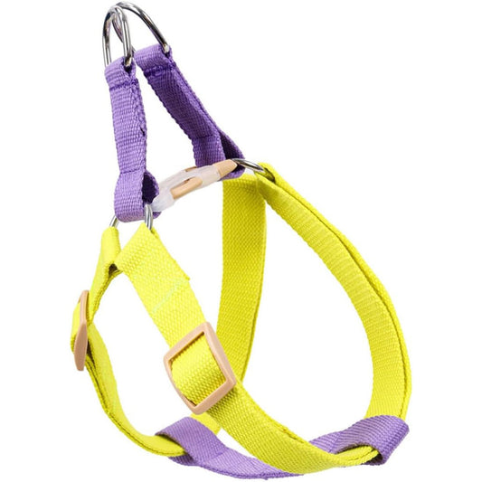 Dog Harness And Leash