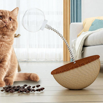 Cat Interactive Toys