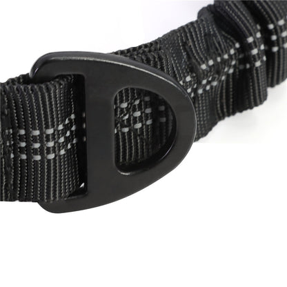 Dog Leash