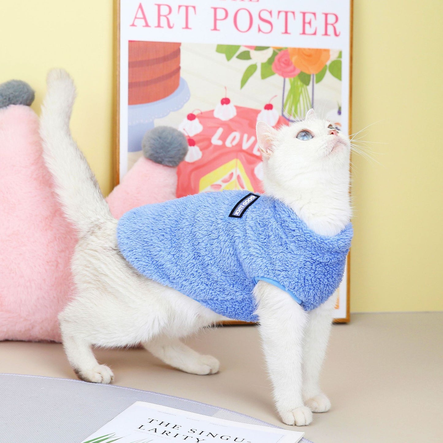 Pet Cats Fall And Winter